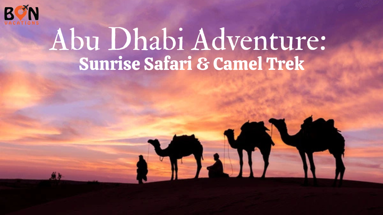 Desert Safari Camel Trek