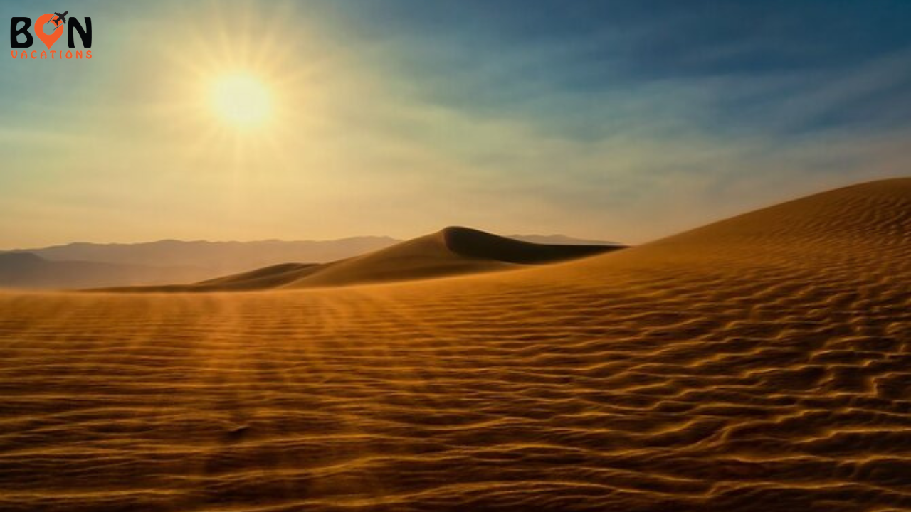 Golden sand dunes under the rising sun in the Abu Dhabi desert, with a clear blue sky and soft light highlighting the ripples in the sand